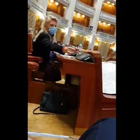 Cine votează la două mâini în Parlament: Matilda Goleac de la PSD Foto: captură video