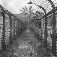 MAE omagiază memoria victimelor de etnie romă ale Holocaustului/FOTO: Unsplash