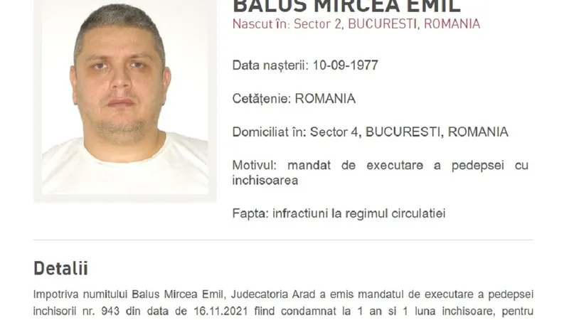 Mircea Nebunu este urmărit în continuare de Poliția Română Foto: Poliția Română