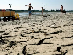 Fluviul Meuse aproape a secat. / Foto: Profimedia