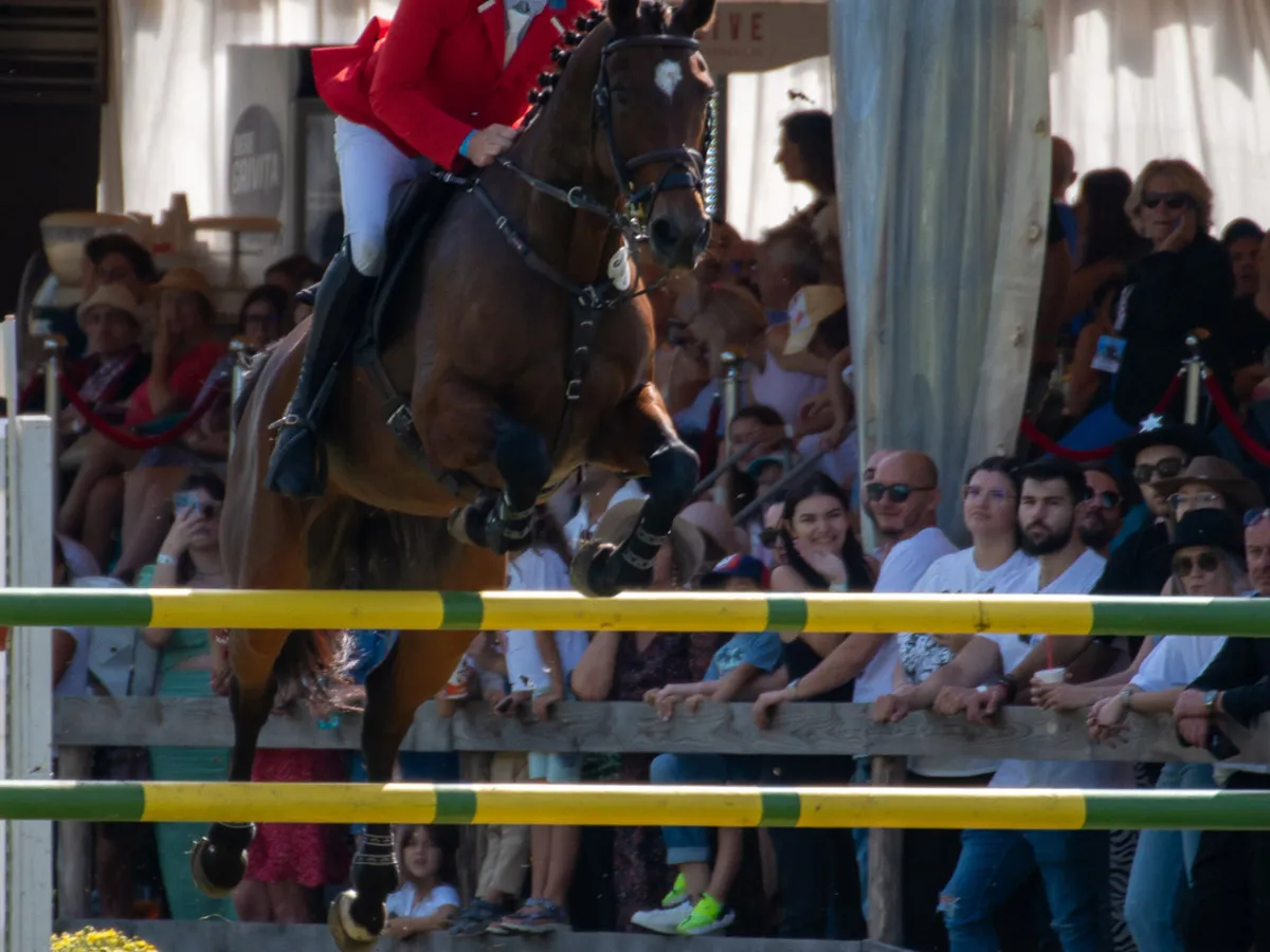 Karpatia Horse Show 2025  - Foto: Ștefan Stoica