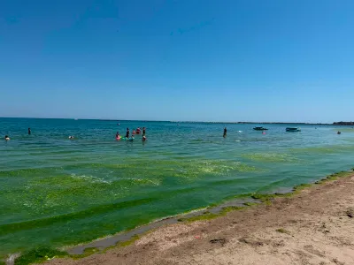 Alge pe litoral - Foto: Facebook / Apele Romane Dobrogea-Litoral