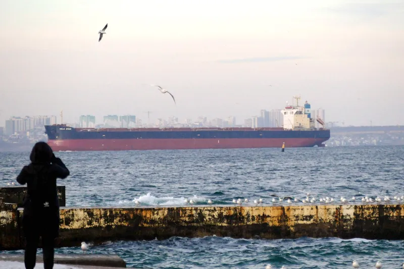Coridorul cerealier al Ucrainei la Marea Neagră - Foto: Profimedia Images