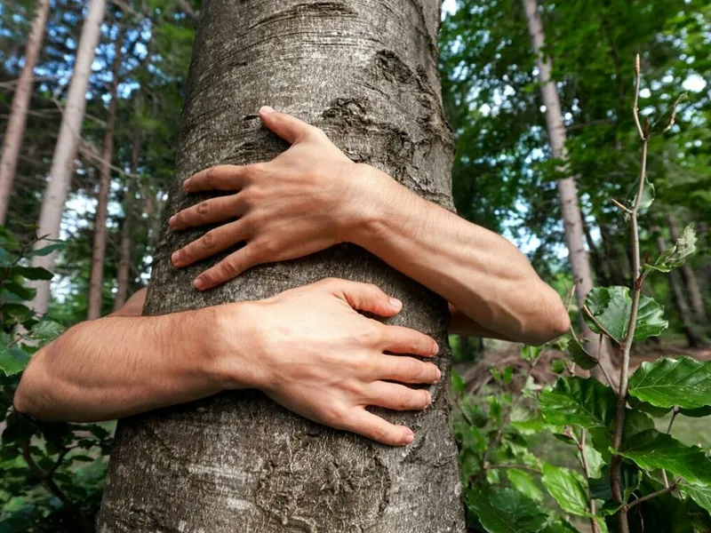 Un român a fost salvat de pompieri după ce a rămas blocat într-un copac. Cum a ajuns acolo? - Foto: Shutterstock