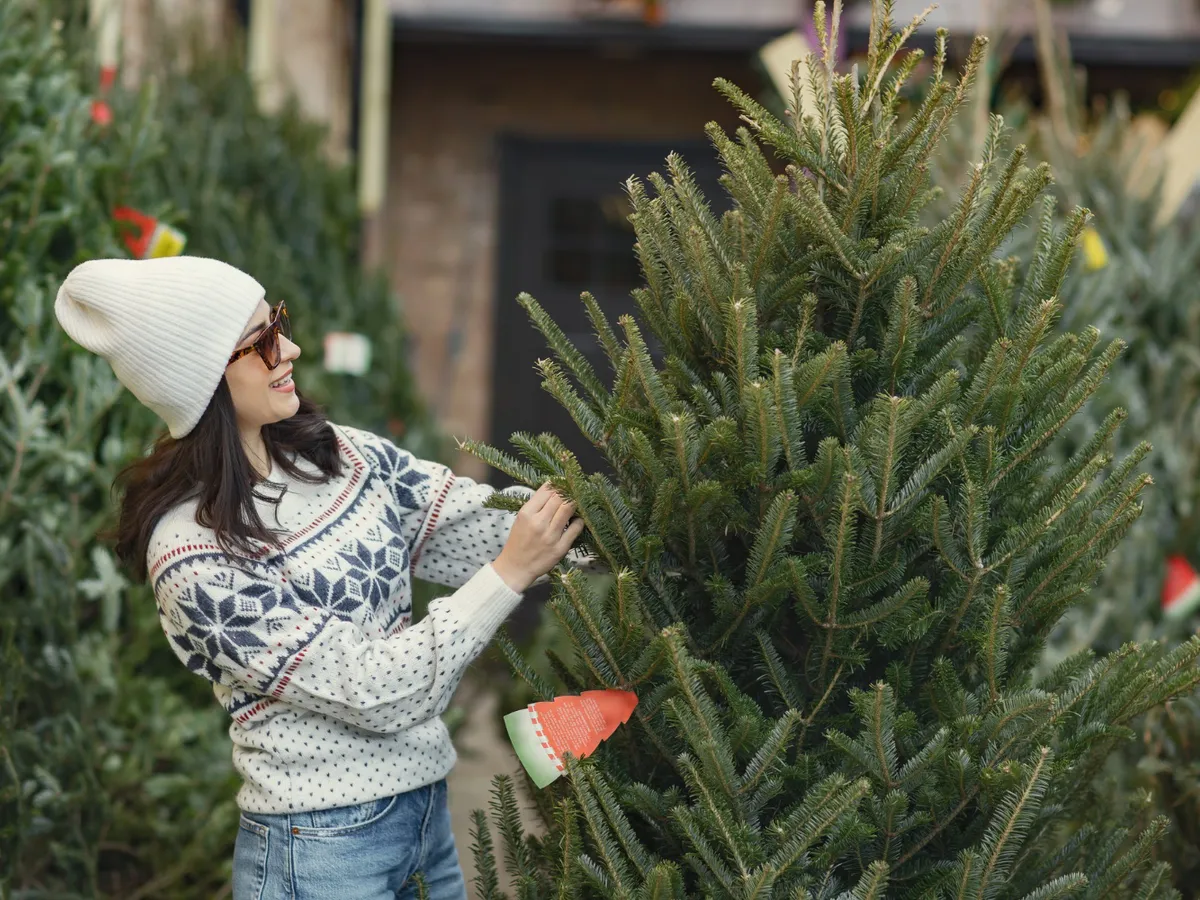 Femeie care ține bradul - Foto: Freepik (Imagine cu rol ilustrativ)