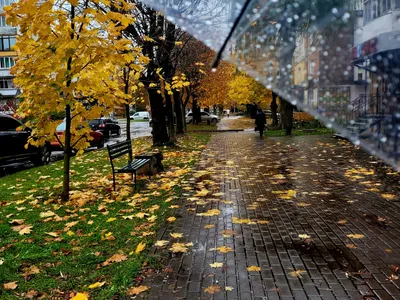 Toamna Foto: Pexels (imagine cu rol ilustrativ)
