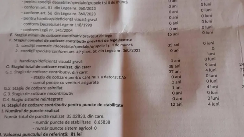 Foto: captură decizie noua