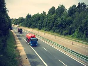 Accident bizar pe autostrada A1. Un TIR a accidentat mortal doi cai lăsați nesupravegheaţi pe șosea - FOTO: Pixabay