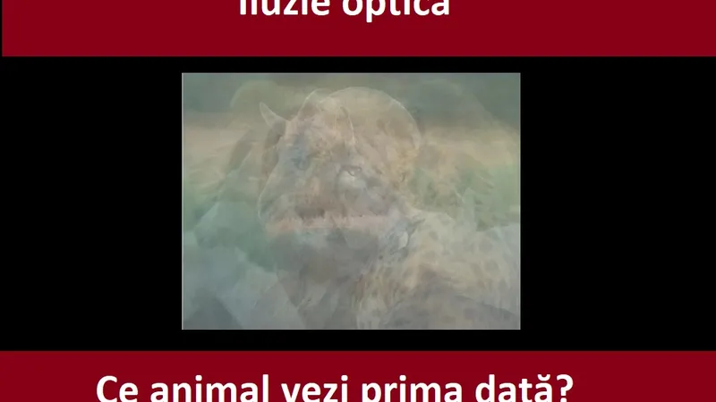 Iluzie optică Foto: Newsweek România/dailystar.co.uk