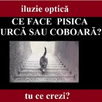 Iluzie optică Foto: Newsweek