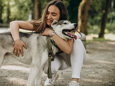 Câine - Foto: Freepik