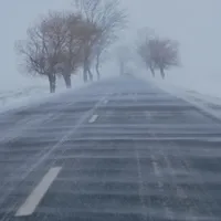 Viscolul face ravagii în sud-estul Româniai - Foto: Facebook/Compania Nationala de Administrare a Infrastructurii Rutiere
