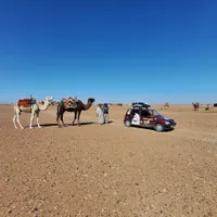 Doi români, tată și fiu, în Deșertul Sahara cu un Tico de 25 de ani. „E invincibil” - Foto: Facebook/Coast 25 Coast