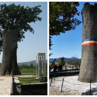 Misterul gorunului lui Horea, vechi de 400 ani. Ce se află îngropat la rădăcina lui - Foto: Colaj/ Facebook