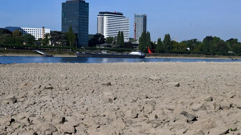 Râul Rin coboară la un nivel minim record în Germania/foto: Profimedia Images
