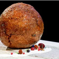 Chiftea din carne de mamut-Foto: TechCrunch