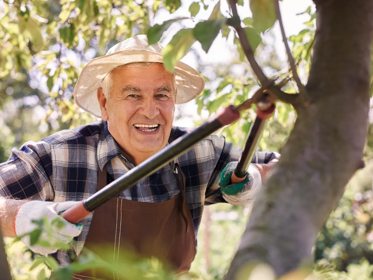 Bărbat senior care lucrează în grădină - Foto: Magnific.com (Imagine cu rol ilustrativ)