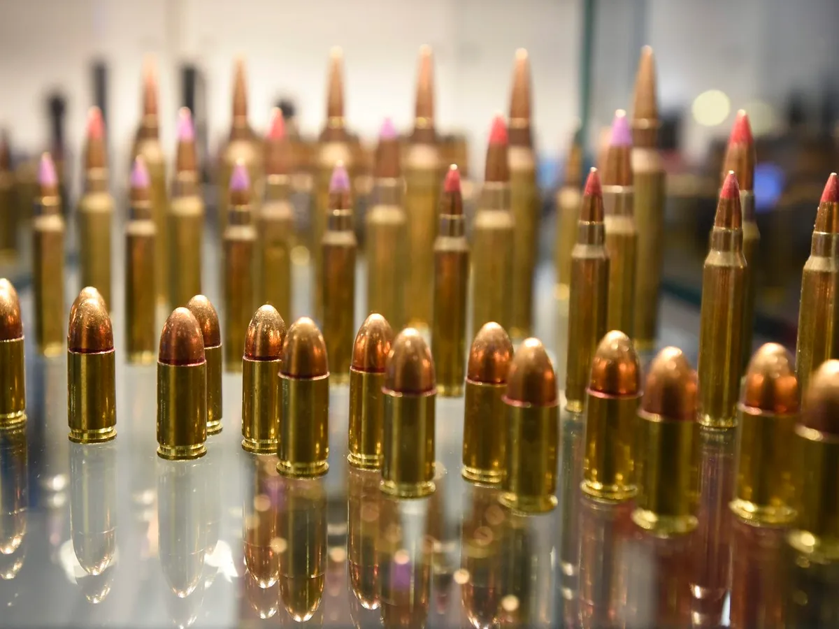 Muniția SAFE prezentată la Asociației Canadiene a Industriilor de Apărare și Securitate - Foto: Profimedia Images