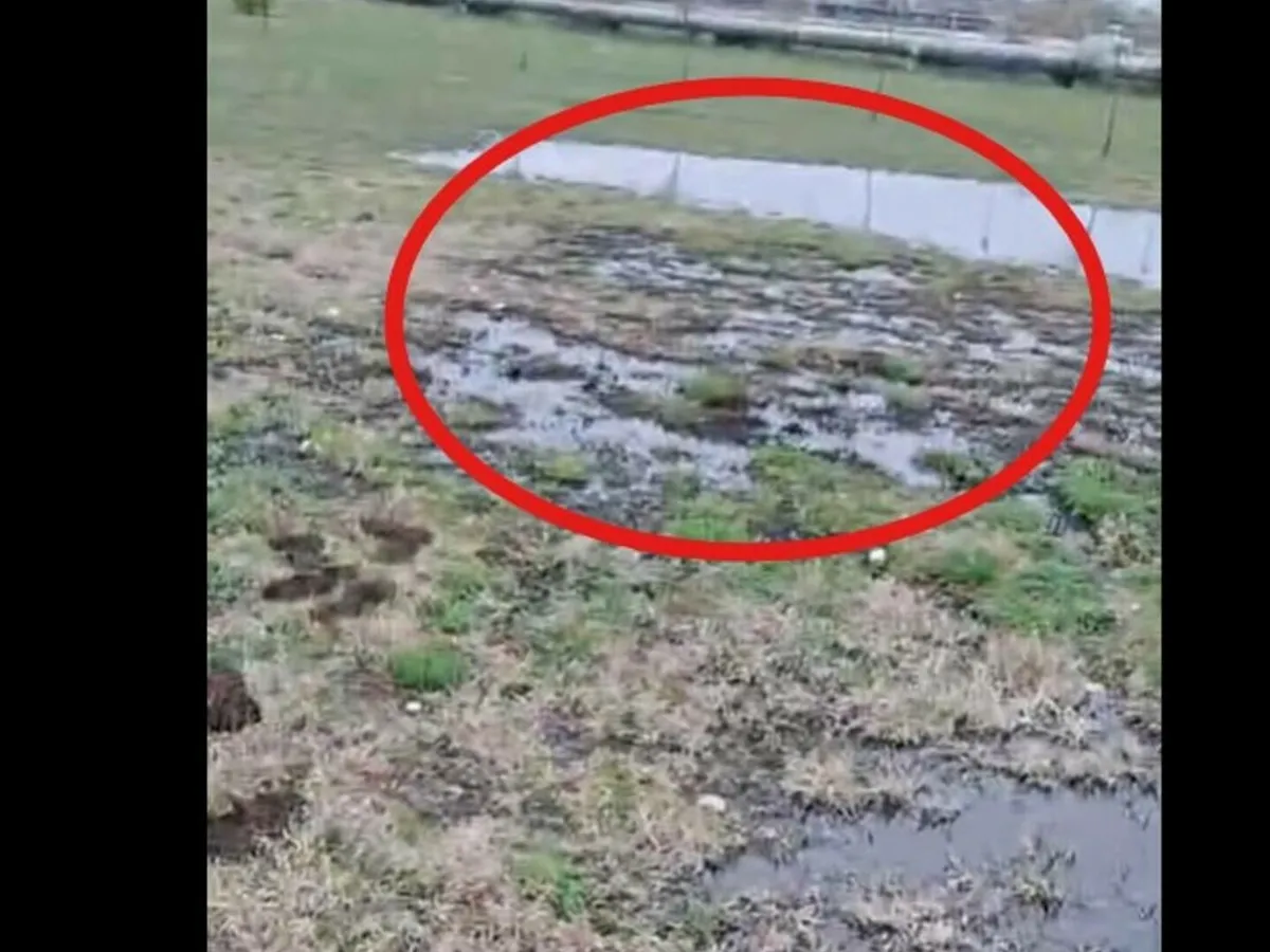 O țeavă cu petrol s-a spart și a inudat un parc din Ploiești. Autoritățile au intrat în alertă Foto: captură videoo Facebook/ Primaria Ploiesti