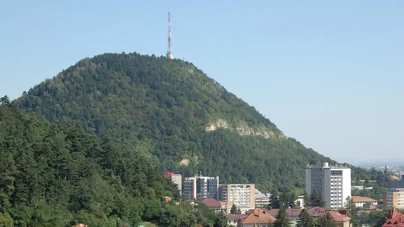 Culmea Pietricica este un simbol al orașului Piatra Neamț, imagine cu caracter ilustrativ - Foto: IOR2019