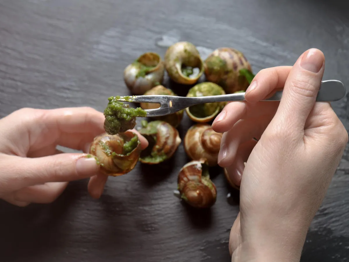 Sunt comestibili melcii care apar în curtea ta după ploaie? Vezi în ce țări sunt văzuți ca un deliciu culinar