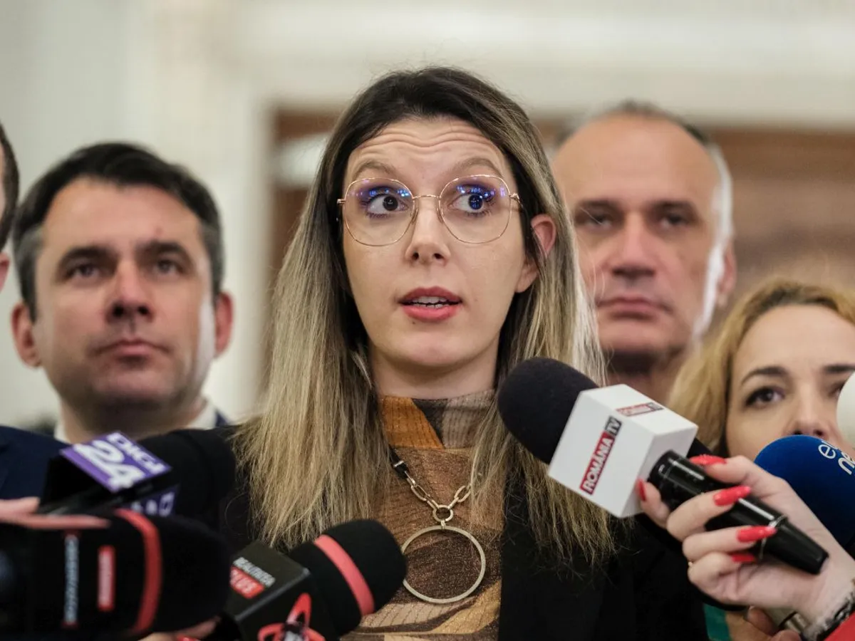 Ministrul Mediului, Diana Buzoianu, a sesizat ANI, într-un posibil conflict de interese la Romsilva