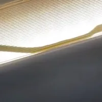 Avion al companiei AirAsia nevoit să devieze de la traseu din cauza unui șarpe descoperit la bord/FOTO: Youtube