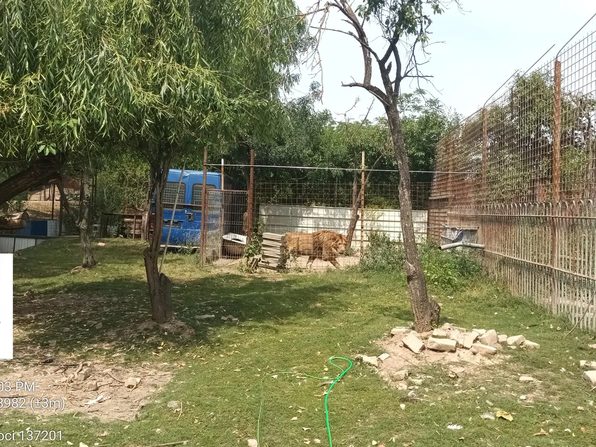 Doar în România! O grădină zoologică, cu lei, urși, maimuțe, funcționează ilegal - Foto: Facebook / Garda Naţională de Mediu