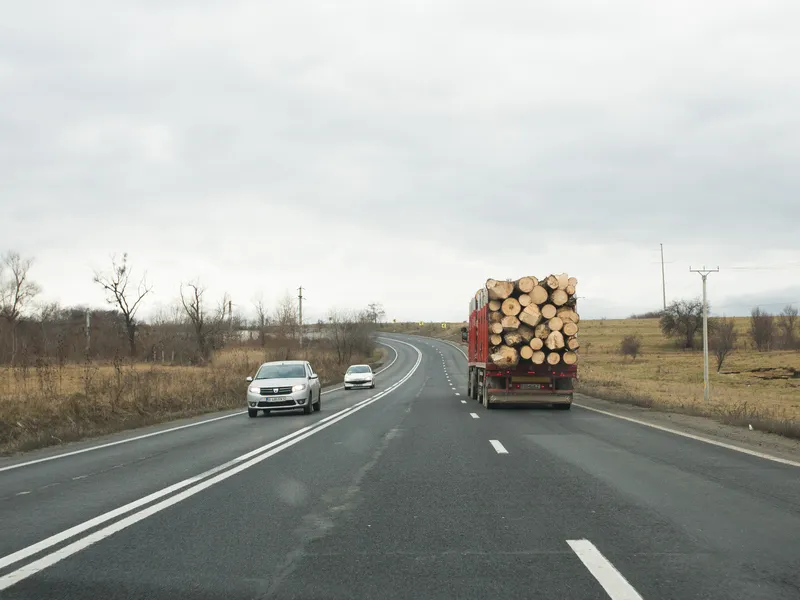 România recoltează doar 33% din creșterea totală anuală a pădurii. Media europeană e de 63%. / Foto: Inquam Photos / Tudor Costache