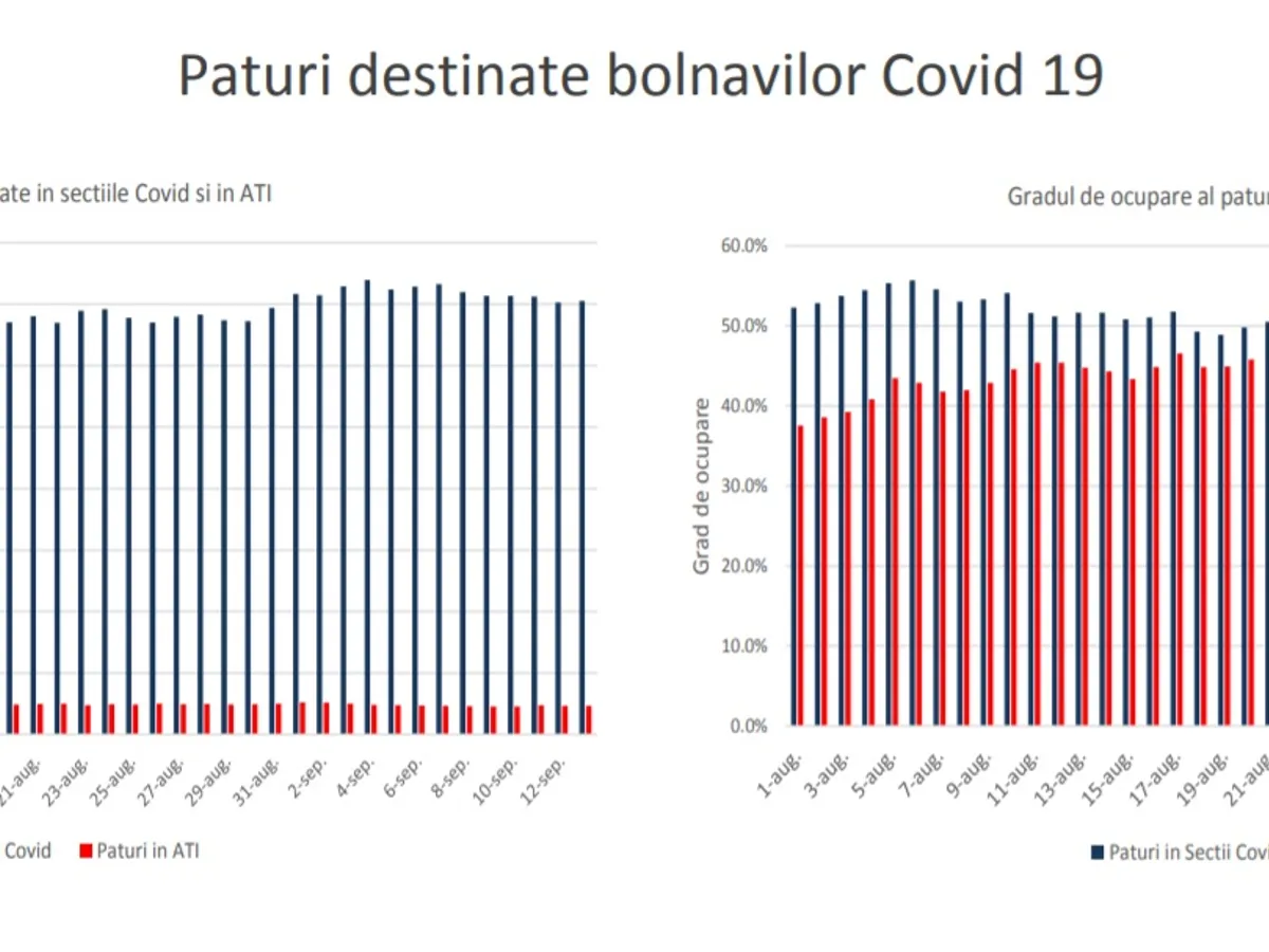 Situația paturilor penru bolnavii COVID. Sursa; Raport INSP