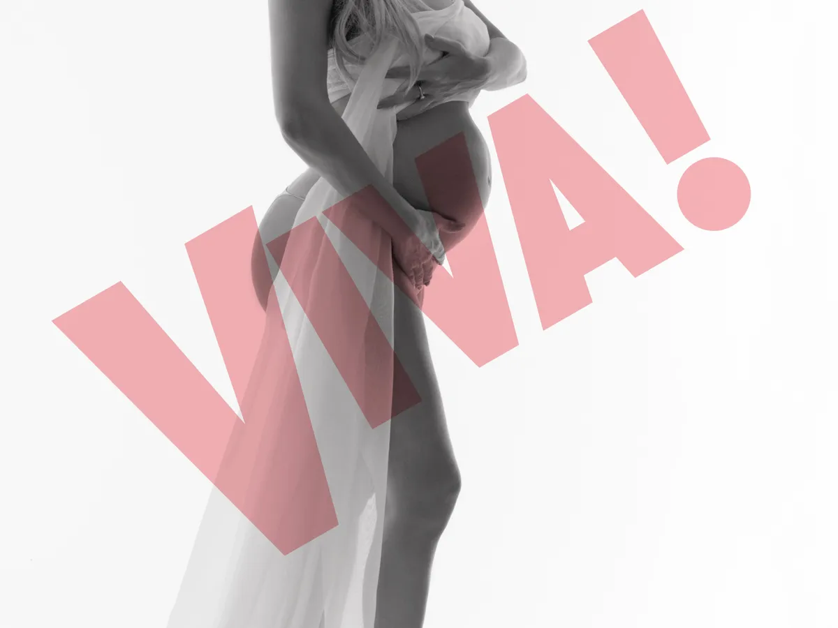 Elena Udrea a apărut luna trecută într-un pictorial controversat. Foto Viva