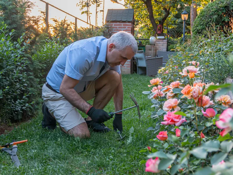 400 lei în plus la pensie din luna mai. Care pensionarii iau bani în plus săptămâna viitoare? - Foto: Freepik