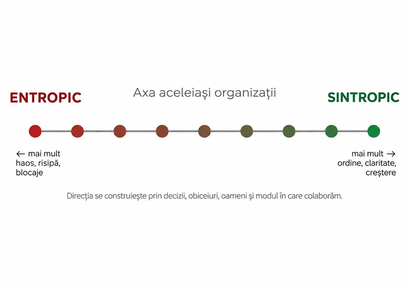 Grafic -Foto: CFA Rom&acirc;nia