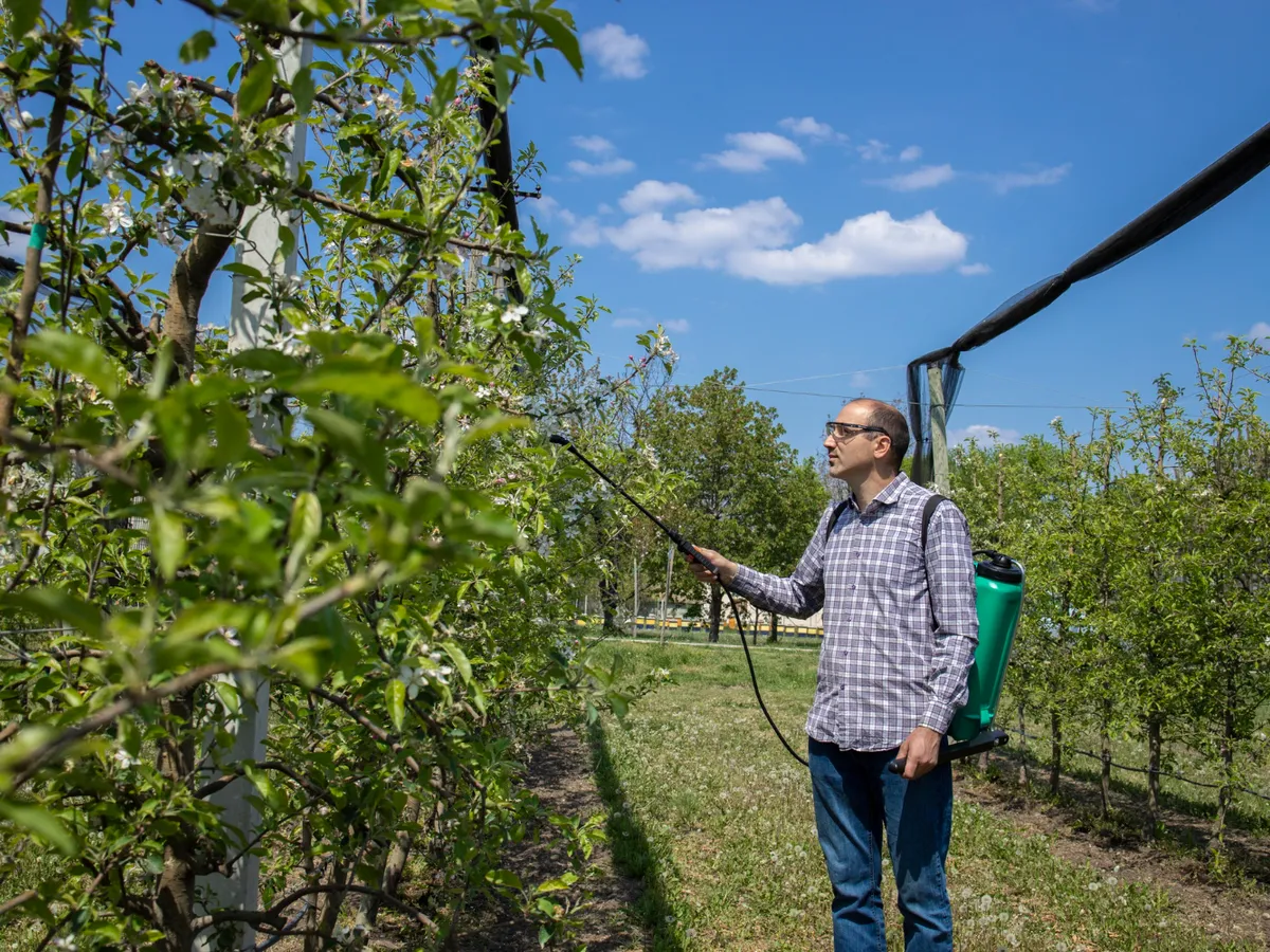 Pesticide Foto: Freepik (imagine cu rol ilustrativ)