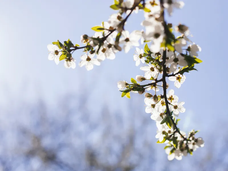 METEO Sunt așteptate temperaturi de 20 de grade în martie. În ce orașe vor fi înregistrate valorile Foto: Freepik (fotografie cu caracter ilustrativ)