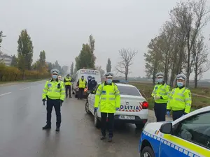 Carantină pentru Mogoșoaia/Foto: economica.net