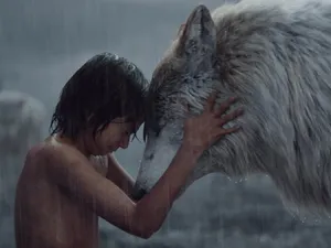 Cine e românul care a luat un Oscar pentru Cartea Junglei - Foto: Profimedia Images (cu rol ilustrativ)