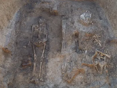 Arheologii au descoperit o înmormântare medievală a unui bărbat cu un cal, un câine - Foto:  Institutul de Arheologie al Academiei Ruse de Științe