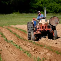 Vin reguli noi! Ce trebuie să știi despre „Tomata”, „Usturoiul” și „Rabla pentru tractoare” în 2025: FOTO - Pexels(imagine cu rol ilustrativ)
