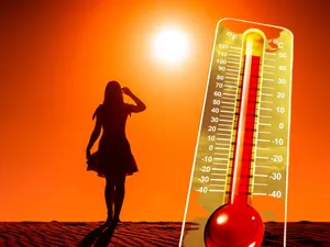 Cod roșu de caniculă în România. Temperaturi de până la 41 de grade la umbră și nopți tropicale - Foto: Profimedia images