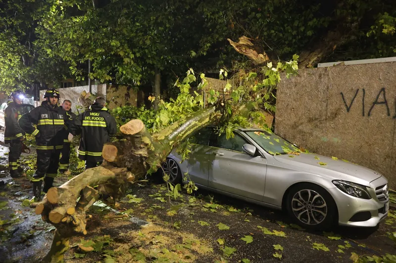 Copac căzut peste mașină - Foto: Profimedia Images (rol ilustrativ)