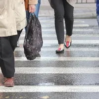 Cățel lovit chiar pe trecerea de pietoni de un șofer grăbit. Bărbatul nici nu s-a oprit - Foto: Arhiva / imagine cu rol ilustrativ