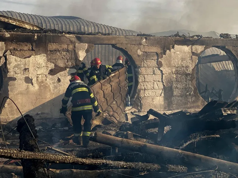 Pensiunea Ferma Dacilor  fost mistuită de flăcări Foto: profimediaimages.ro