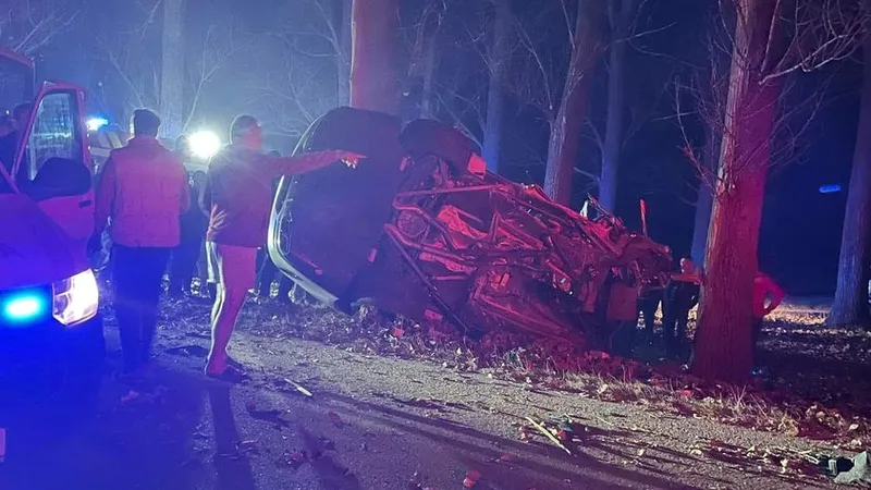 Accident Dobrești / Foto: Info Trafic Pitești