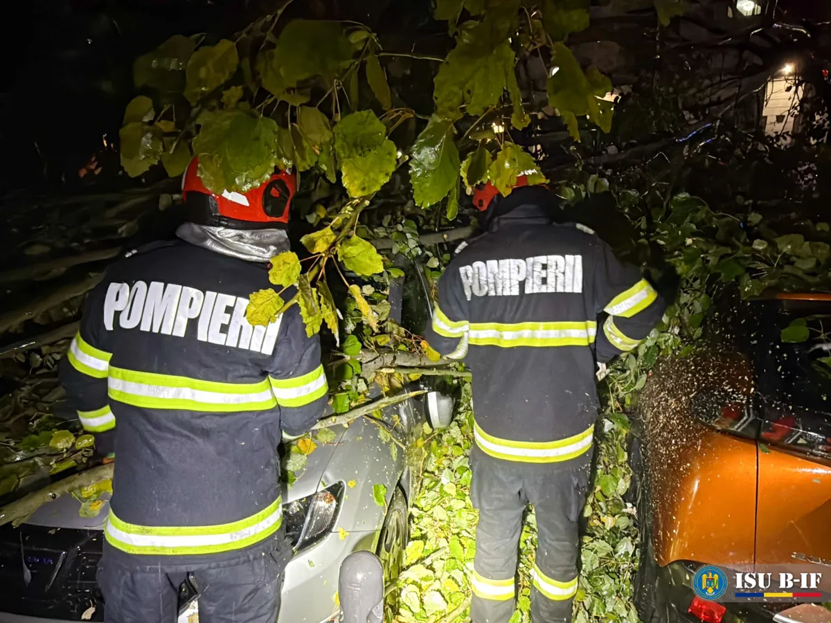 Pompierii intervin după ce un copac s-a prăbușit peste o mașină în București - Foto: ISU B-IF