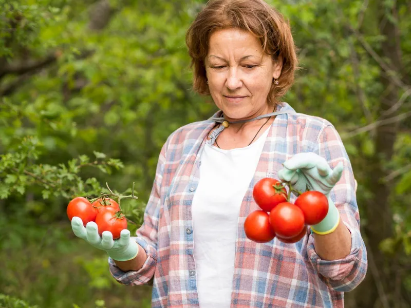Soluția preparată în casă care îți ajută răsadurile să prindă instant. Alungă gândacii și nu costă - Foto: Freepik (imagine cu rol ilustrativ)