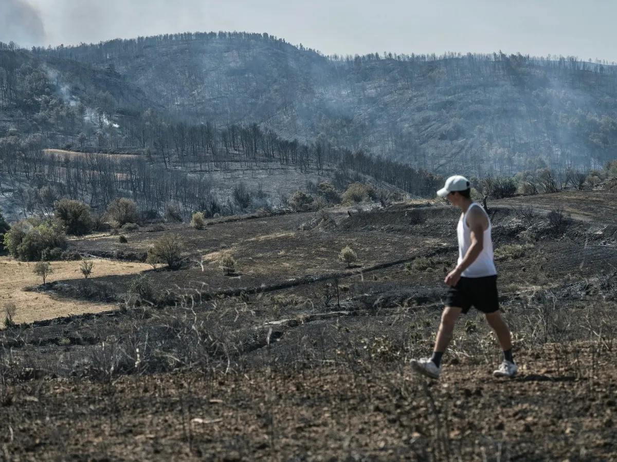 Incendiu de vegetație în Franța - Foto. Profimedia Images