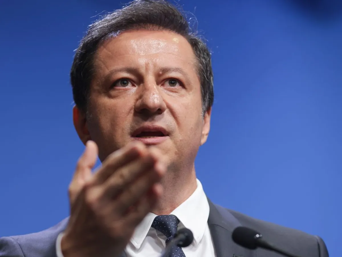 Daniel Armeanu, vicepreşedinte ASF pe Asigurări şi Pensii - Foto: INQUAM PHOTOS/George Călin