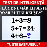 Test de inteligență Foto: Newsweek