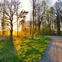 VREMEA Temperaturi de vară la sfârșitul lunii martie. La ce să ne așteptăm în perioada următoare Foto: Pexels (fotografie cu caracter ilustrativ)